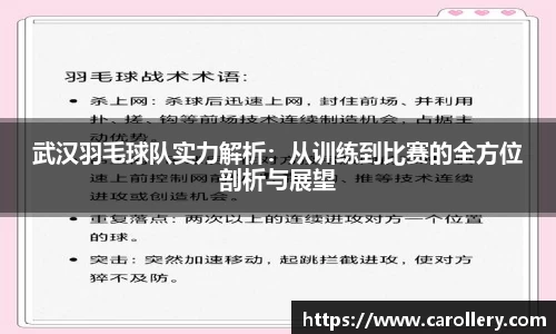 武汉羽毛球队实力解析：从训练到比赛的全方位剖析与展望