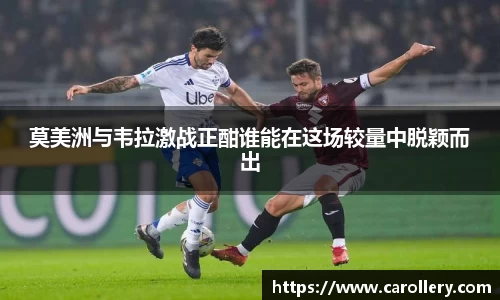 万博max中国官方网站